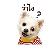 865098615