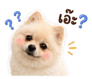 865098655