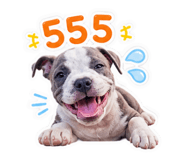 865098742