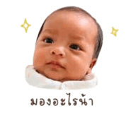 865099029