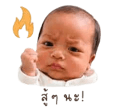 865099037