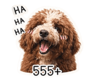 865099176