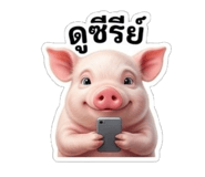 865099790