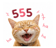 865099870