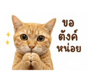 865099872