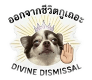 865099941