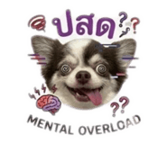 865099943