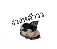 865100023
