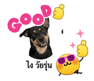 865100051