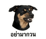 865100059