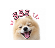 865103803