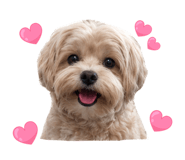 865105357