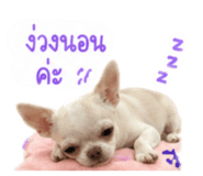 865105528
