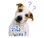 865105977