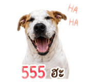 865105984