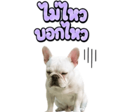 865107910