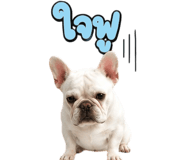 865107925