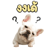 865107931