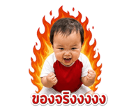 865107982