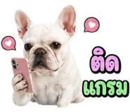 865108203