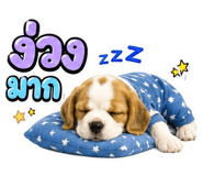 865108362