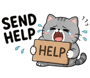 865108478