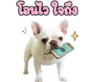 865108577