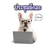 865108601