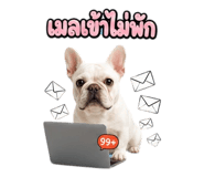 865108603