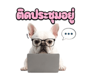 865108607
