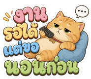 865110064