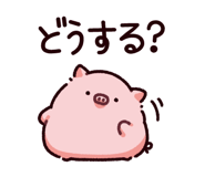 865256057