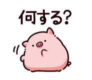 865256058