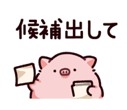 865256062