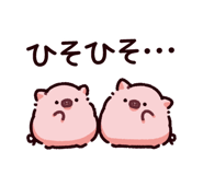 865256066