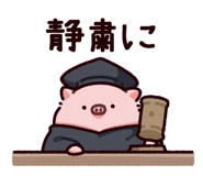865256081