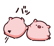 865256094