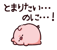 865256096