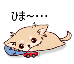 8656404