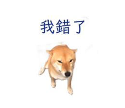 86575695