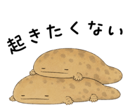 865816010