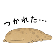 865816011
