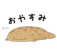 865816013
