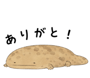 865816014