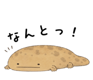 865816016