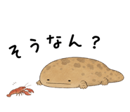 865816017
