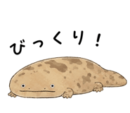 865816020