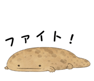 865816021