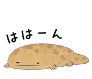 865816022