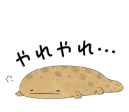 865816023